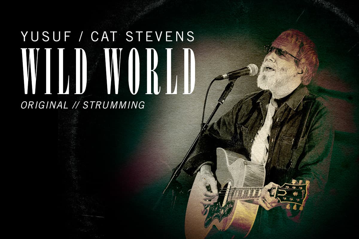 Step into a wild world - Wild World by Yusuf/Cat Stevens